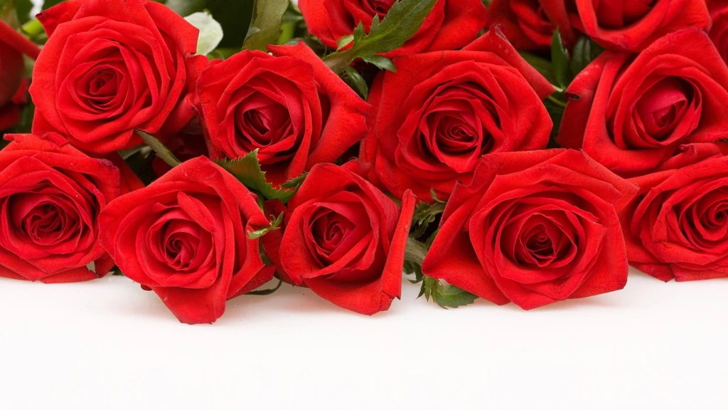 Red Rose Desktop Wallpapers Wallpapers Cave