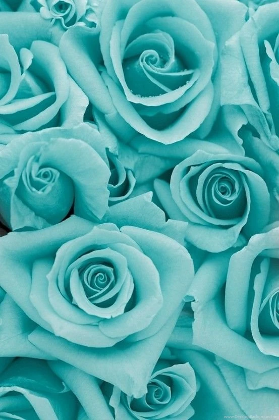 Aqua Wallpapers