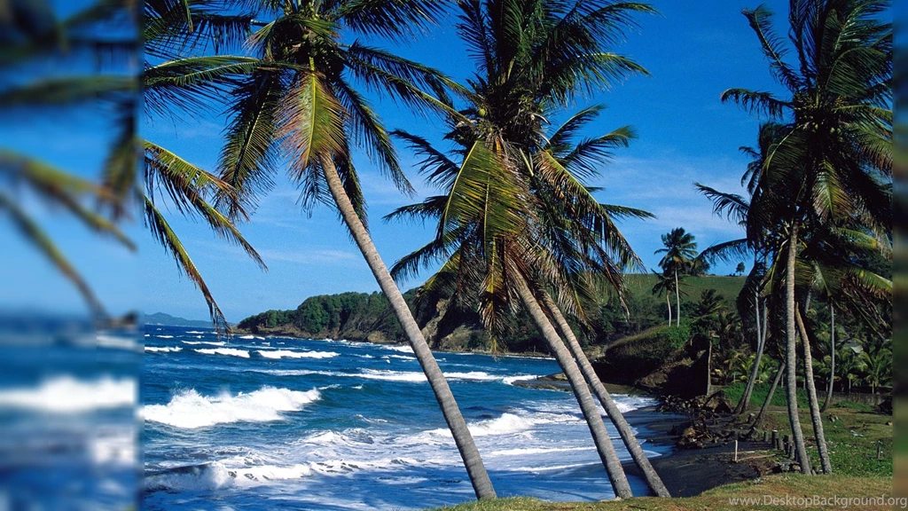 Free Wallpapers Computer   Wallpapers Zone