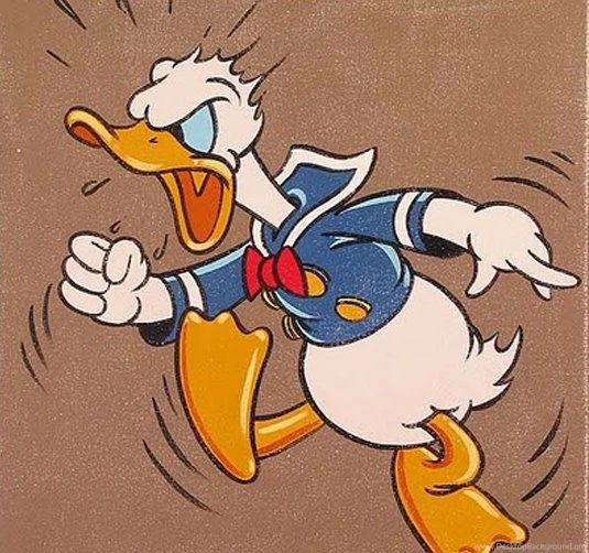 Donald Duck Angry Wallpapers   Wallpaper.