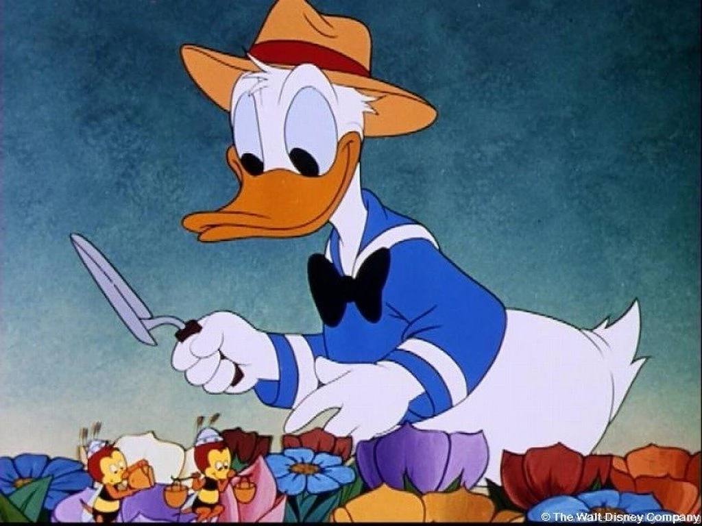 Download Donald Duck Wallpaper Backgrounds 13 HD Wallpapers ...