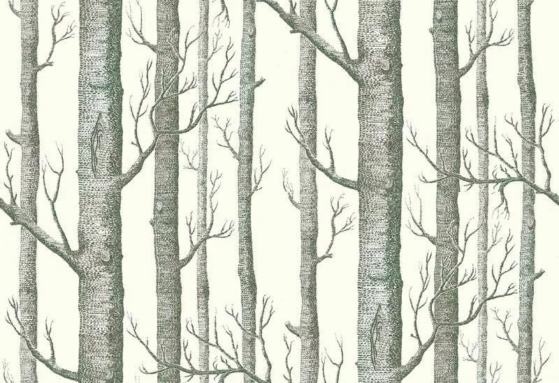 Wallpapers On Pinterest
