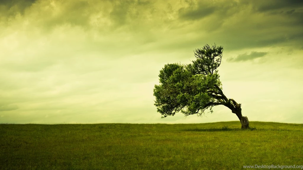 Awesome Collection Of HD Wallpapers