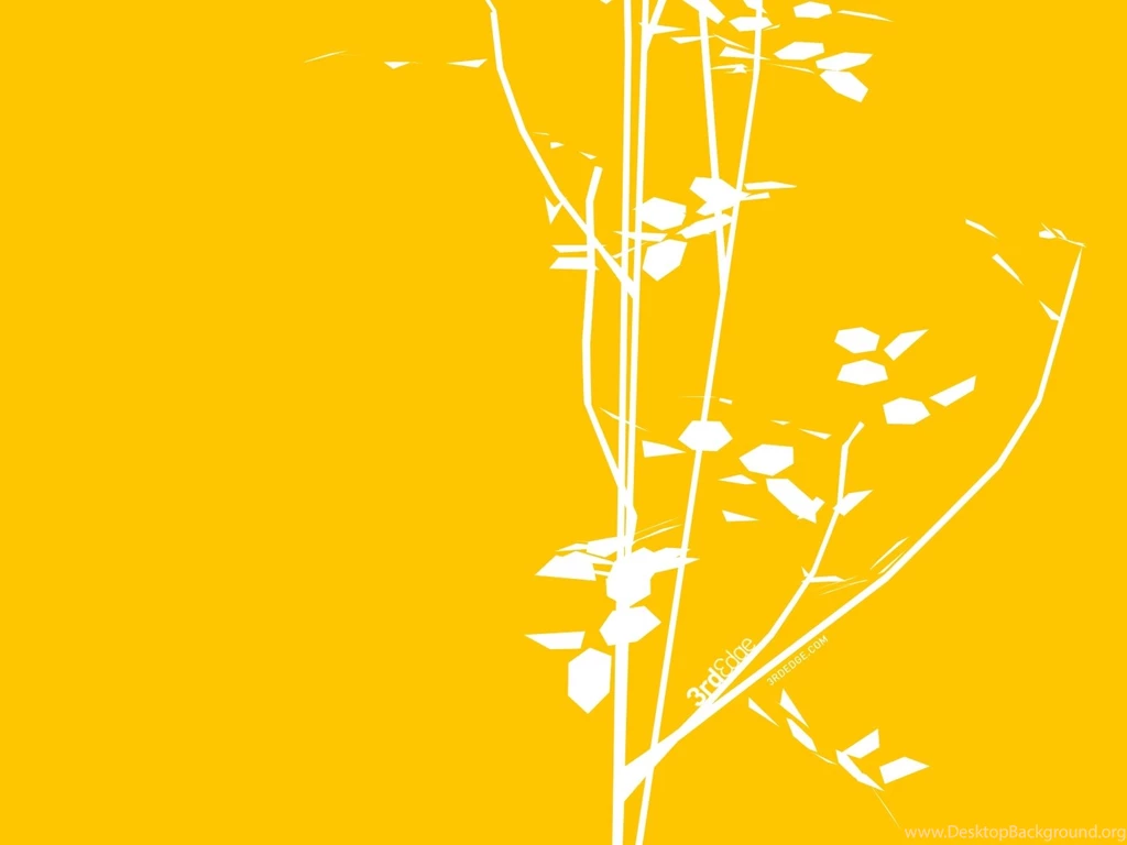 White Branch Wallpapers