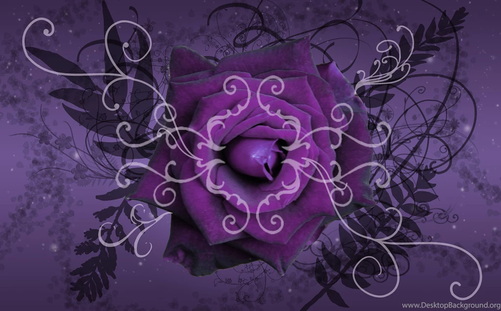 Purple Wallpapers For Desktop Wallpapers Cave
