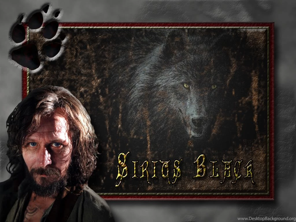 Harry Potter Movie Wallpapers And Sigs Comments Welcome ...
