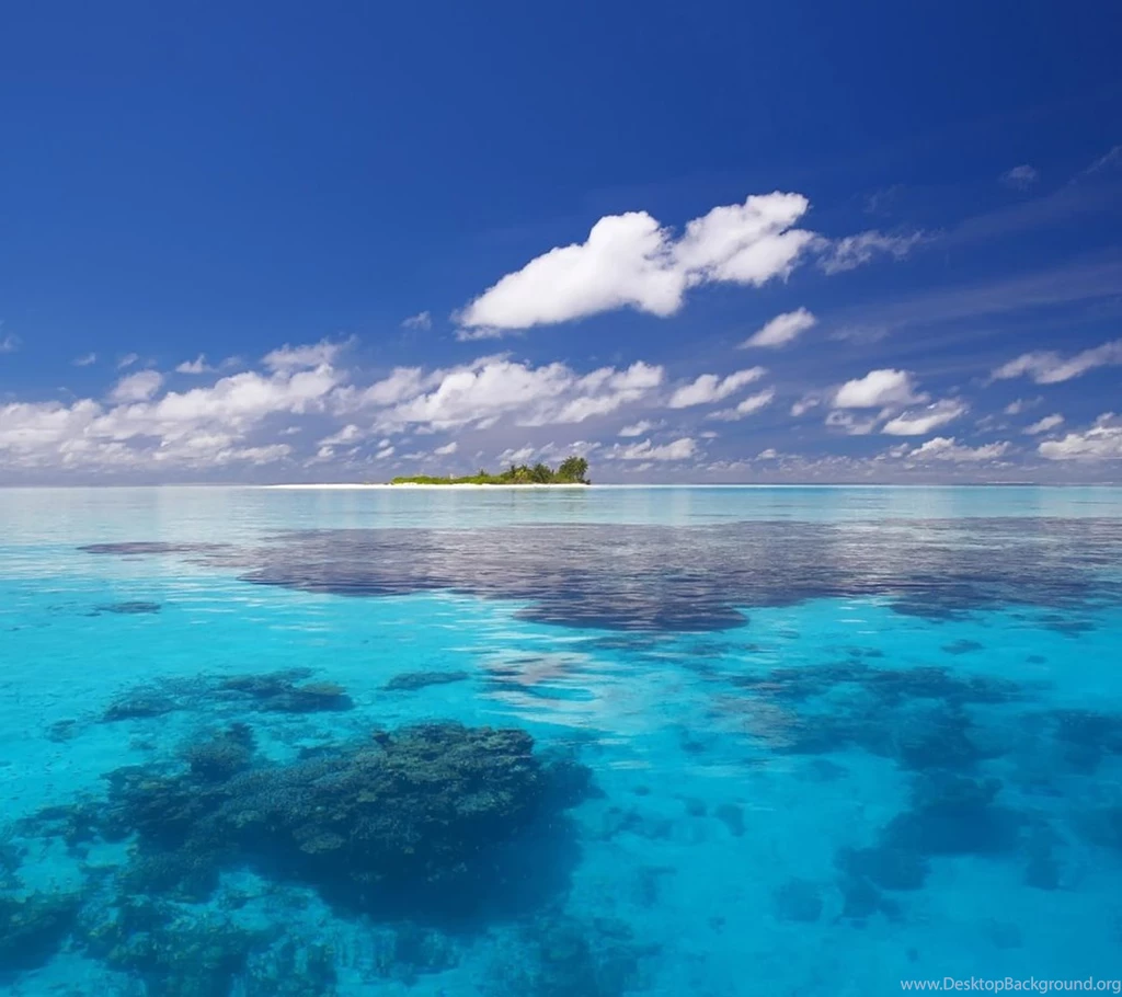 HTC Sensation HTC EVO 3D Nature Wallpapers 04