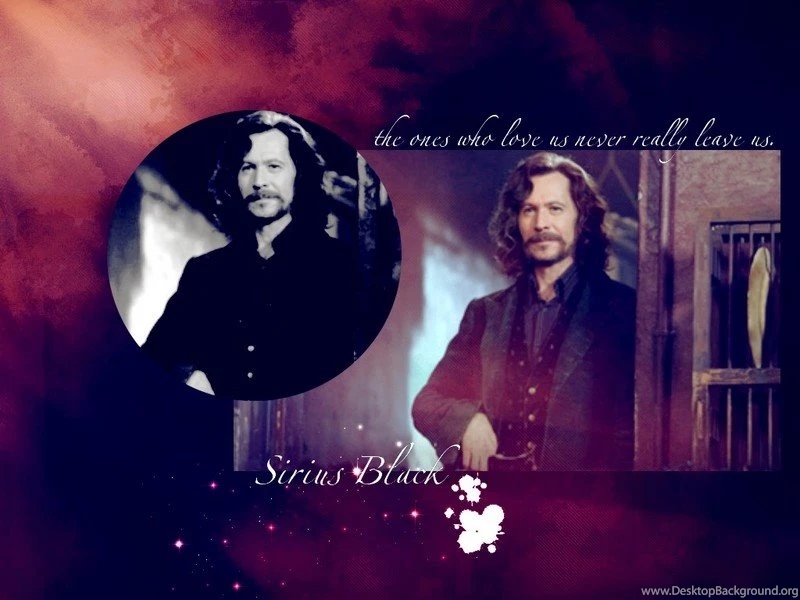 Sirius Black Gary Oldman Wallpapers (209945) Fanpop