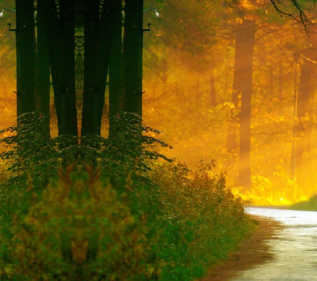 HTC Sensation HTC EVO 3D Nature Wallpapers 02