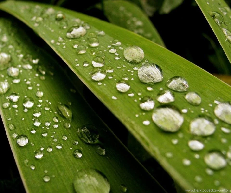 HTC Sensation XL Wallpapers