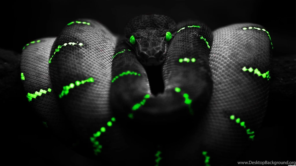 Black Wallpapers Image Picture HD