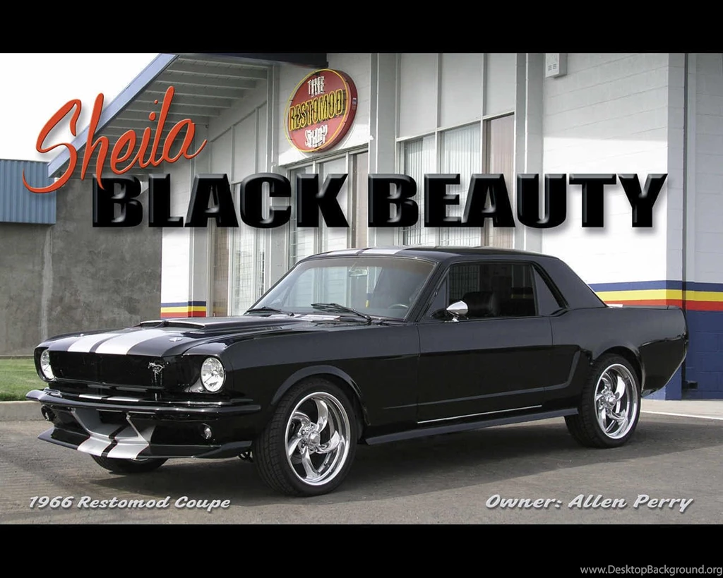 Mustangs Plus Wallpapers