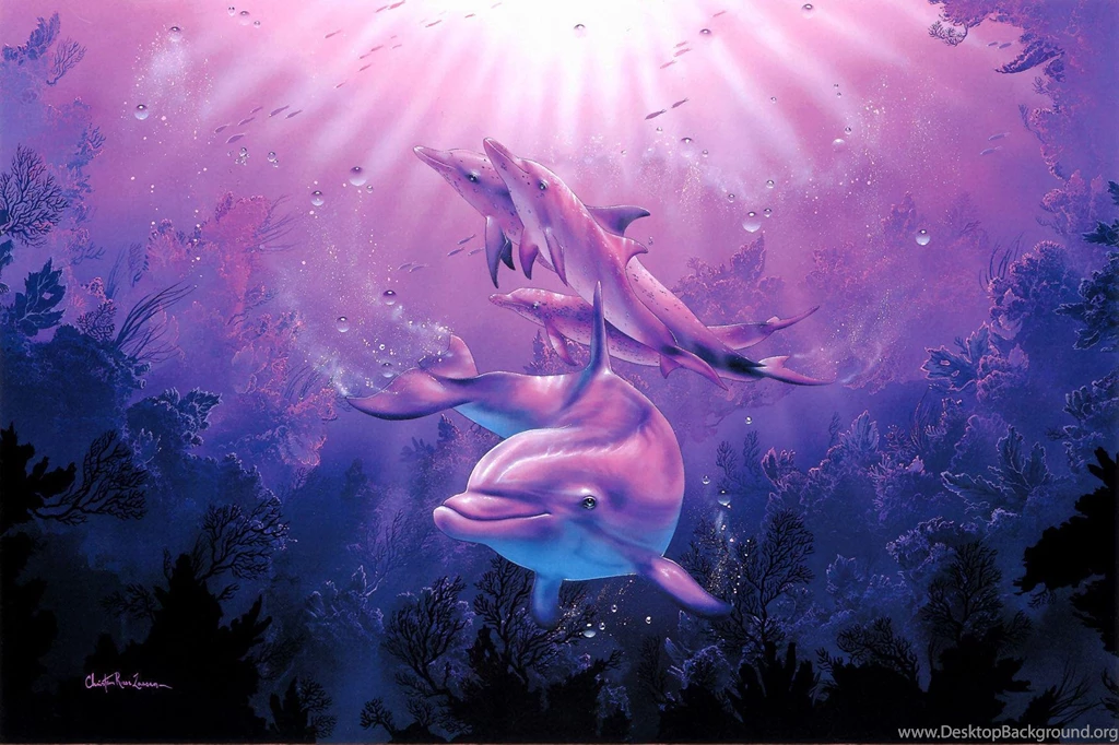 Dolphins In A Pink Light (