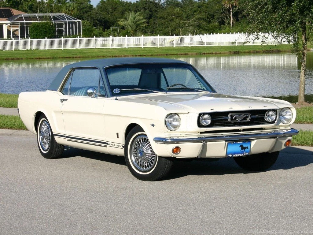 1966 Mustang Photo Collection MustangAttitude