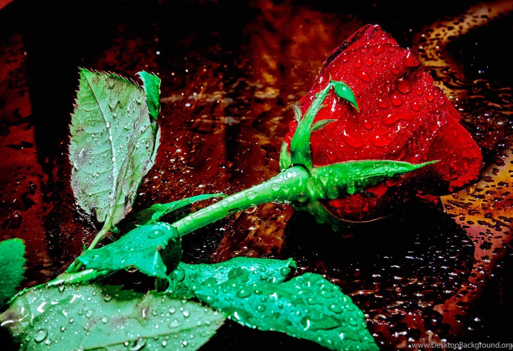 Hd Images, Download Wallpapers, Cool Artworks, , Colors, Smart ...