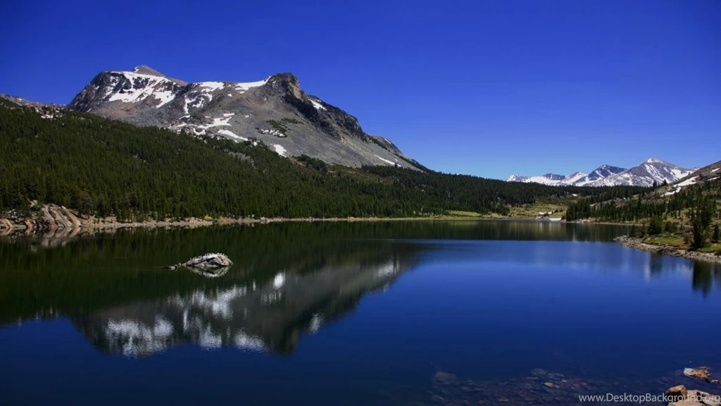 Nature Colorful Scene HD Backgrounds Wallpapers Free Downlaod