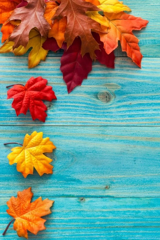 Fall Wallpapers