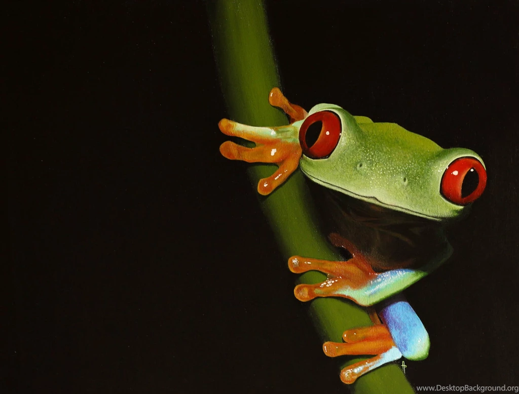 Red eyed Tree Frog. Painting By Li Soro On DeviantArt
