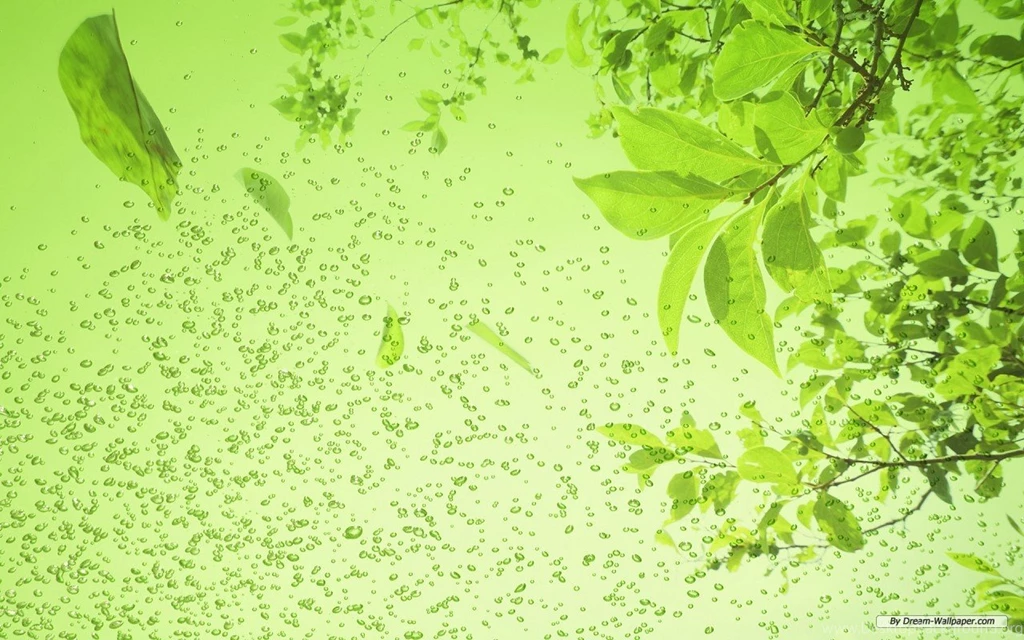 Wallpapers Green