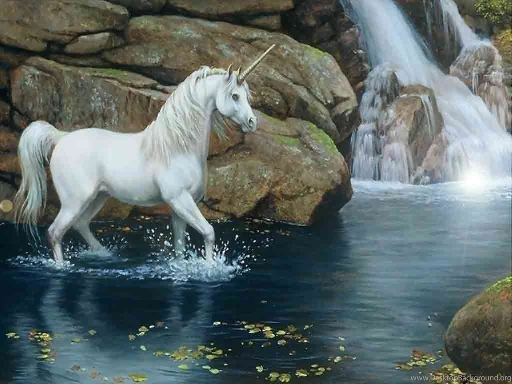 Unicorn Wallpapers Free Wallpapers Cave
