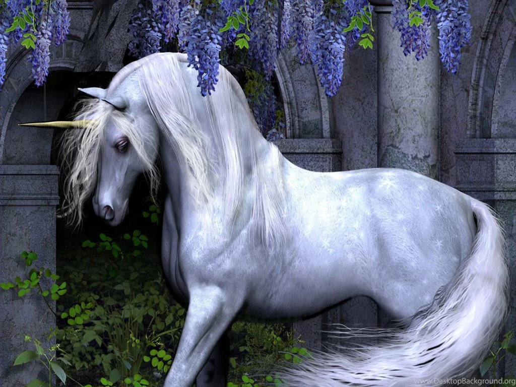 Wallpapers Unicorn Free Screensavers Play 1024x768