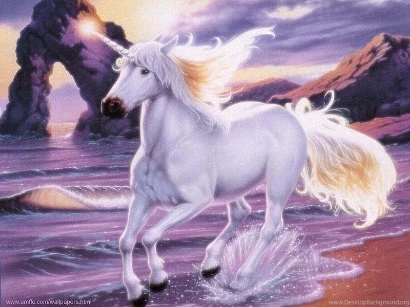 Unicorn Pictures