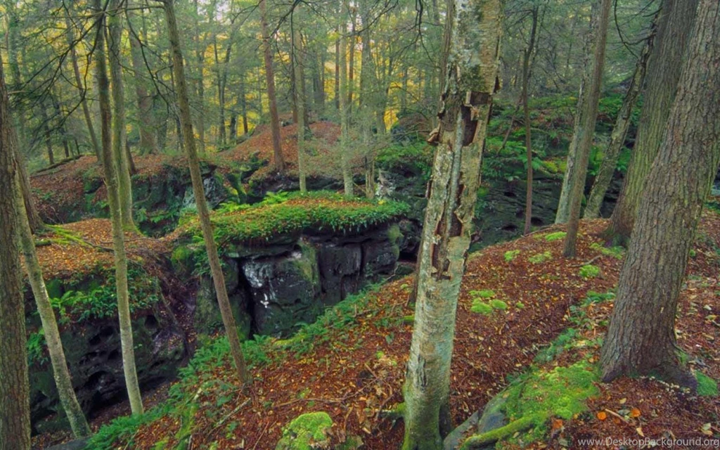Beartown State Park West Virginia (