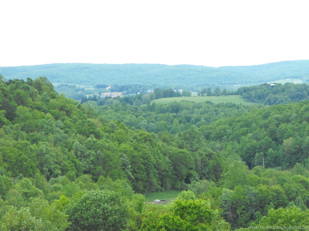 West Virginia Mountains   (