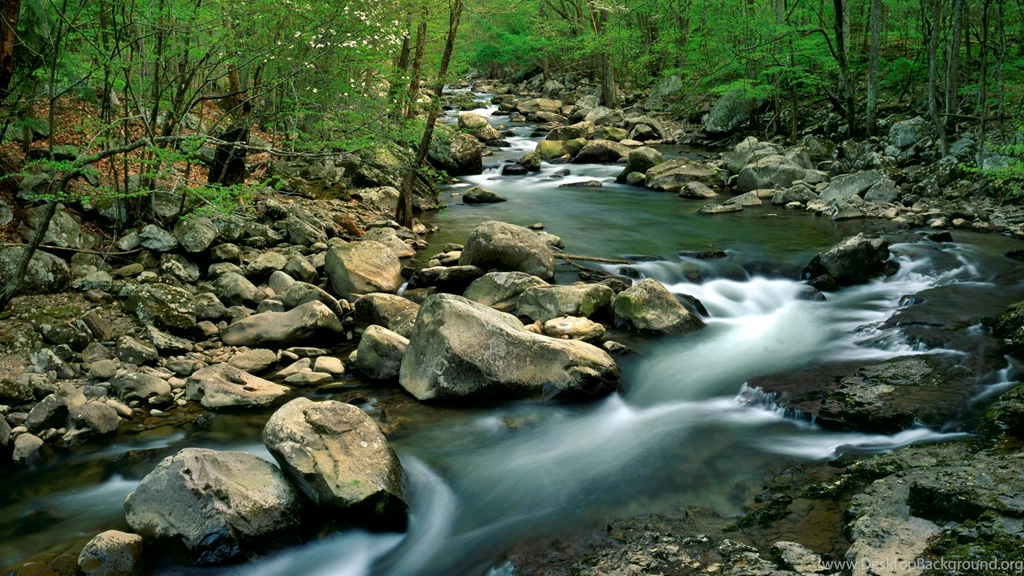 Download Backgrounds   Glade Creek In Early Spring, New River Gorge ...