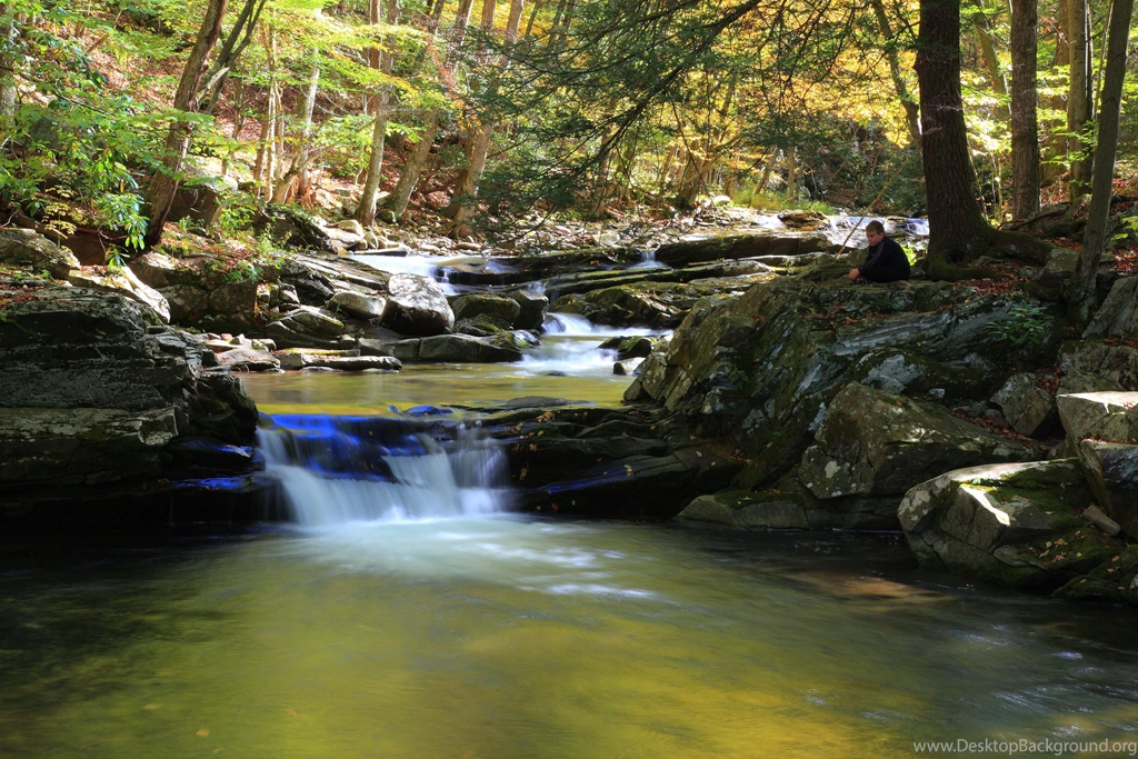 Virginia HD Wallpapers HD Wallpaper Backgrounds Of Your Choice