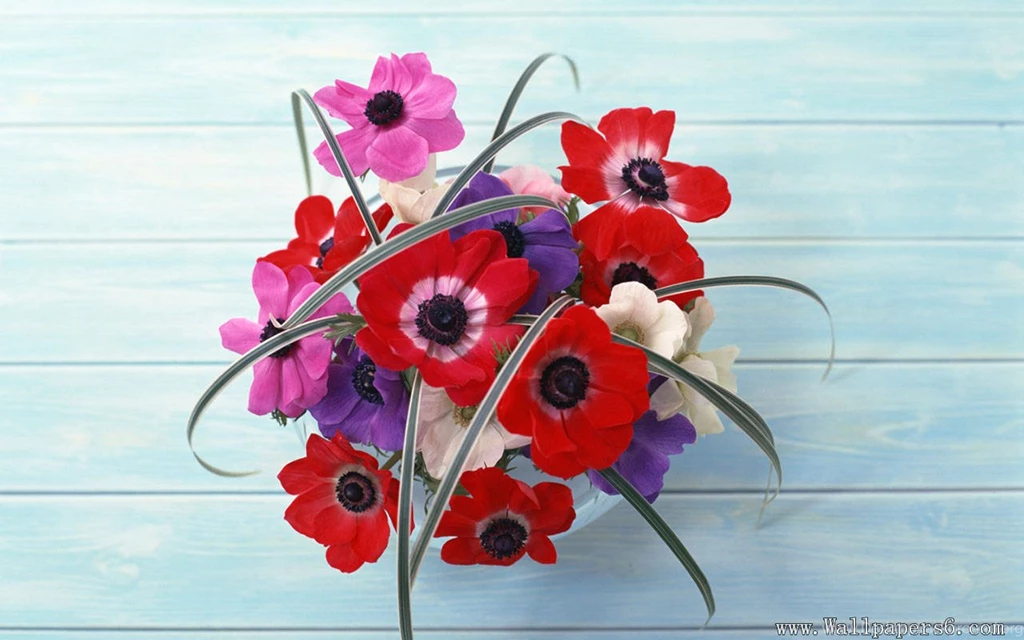 Beautiful Bouquet In House - Flower Wallpapers Free Download ...