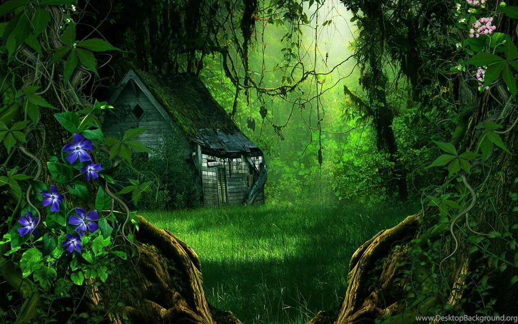 Forest House HD Wallpapers ~ Toptenpack.com