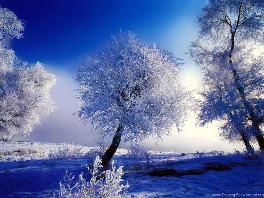 Free Winter Backgrounds