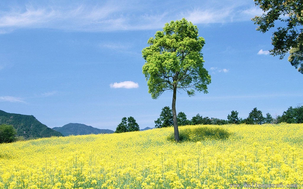 Images Of People And Nature - Landscape Wallpapers Free ...