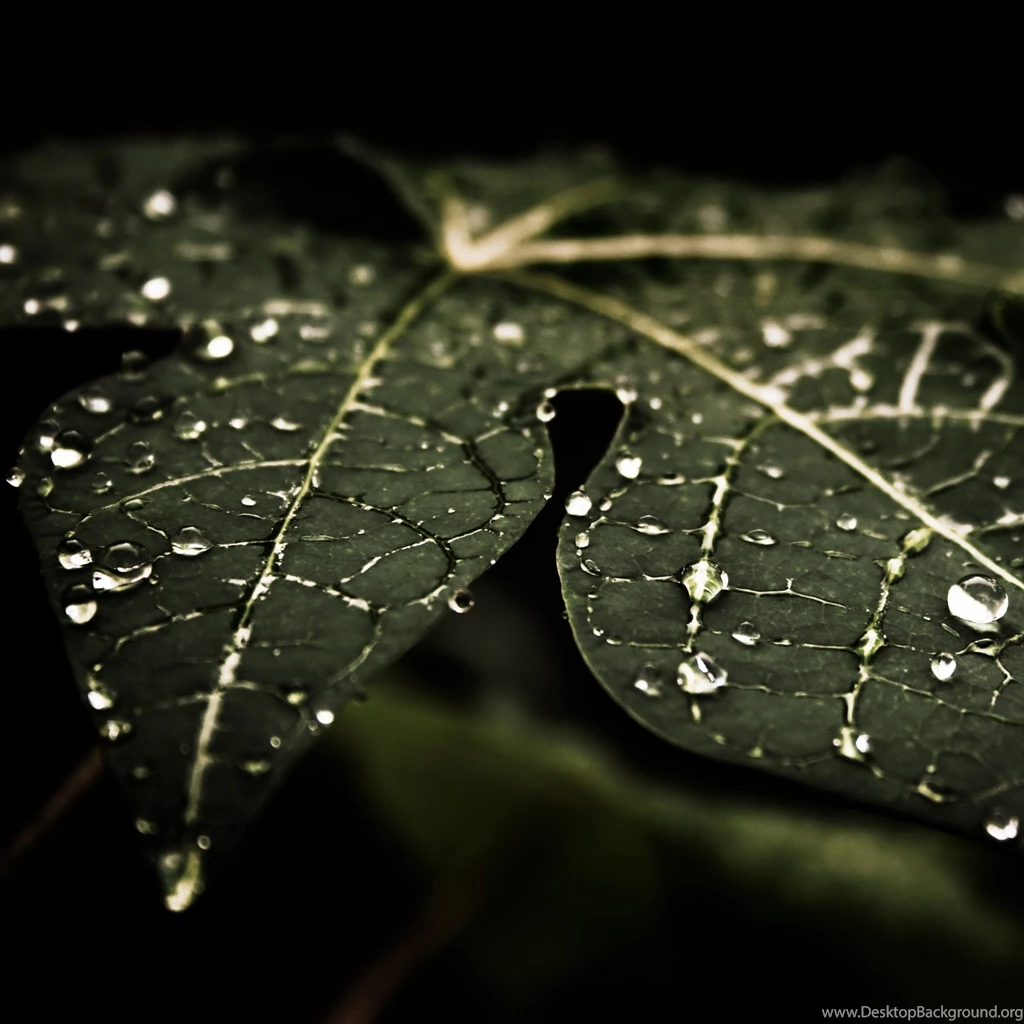 iPad Retina HD Wallpapers