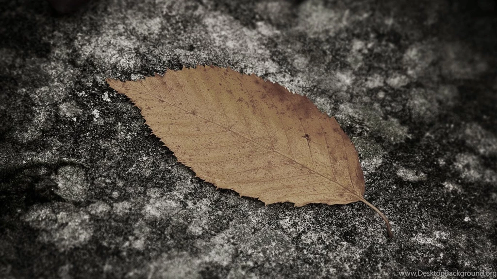 Wallpapers Retina Display