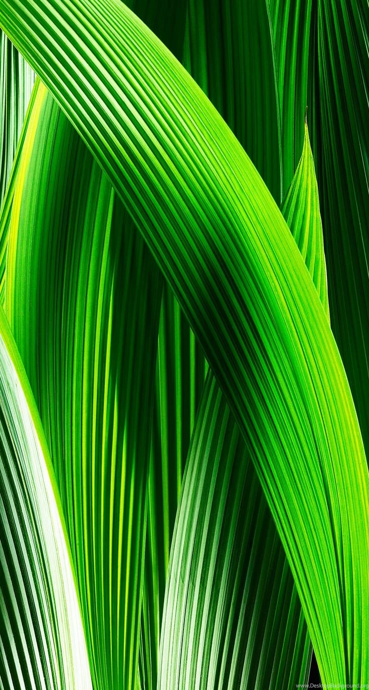 Download IOS 7 Wallpapers For IPhone, iPad And IPod Touchs ...
