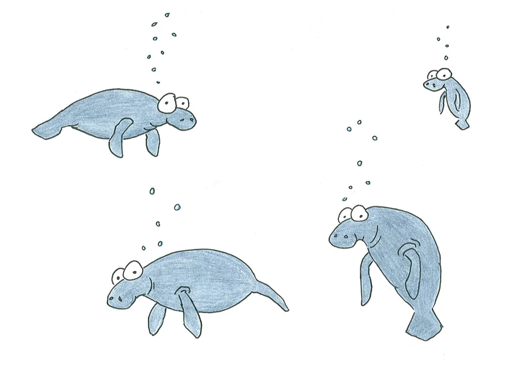 Manatees Screen Backgrounds