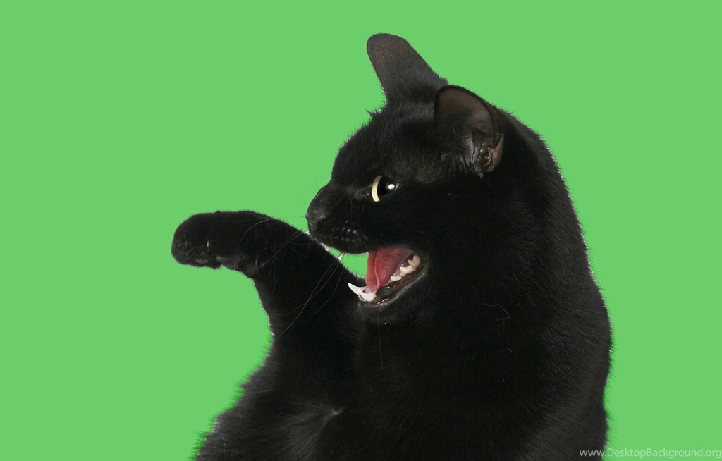How To Choose Green Screen Backgrounds DaCast