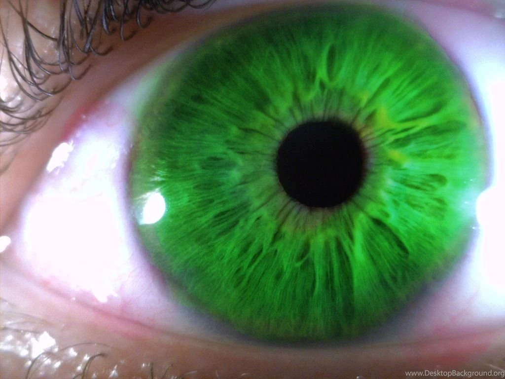 Green Eyes Wallpapers Wallpapers Cave