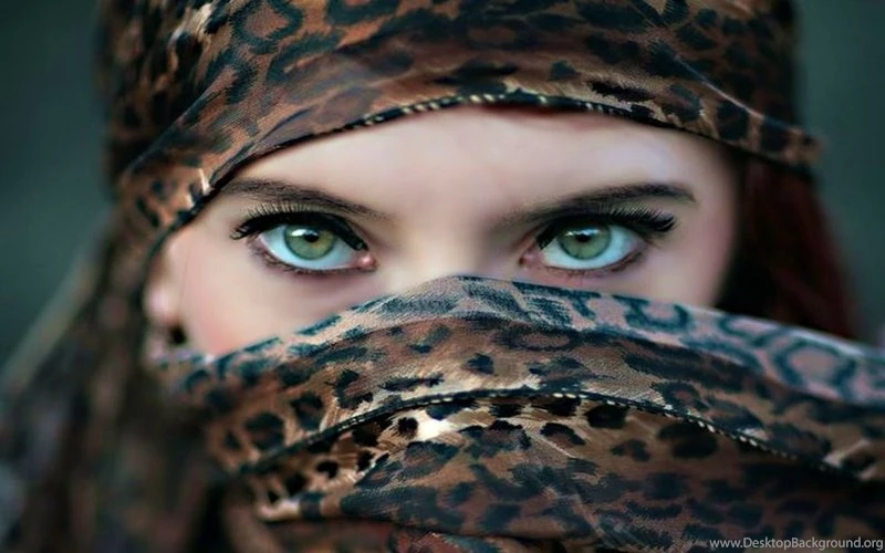 Black Rock Shooter,Dead Master Black Rock Shooter Dead Master ...