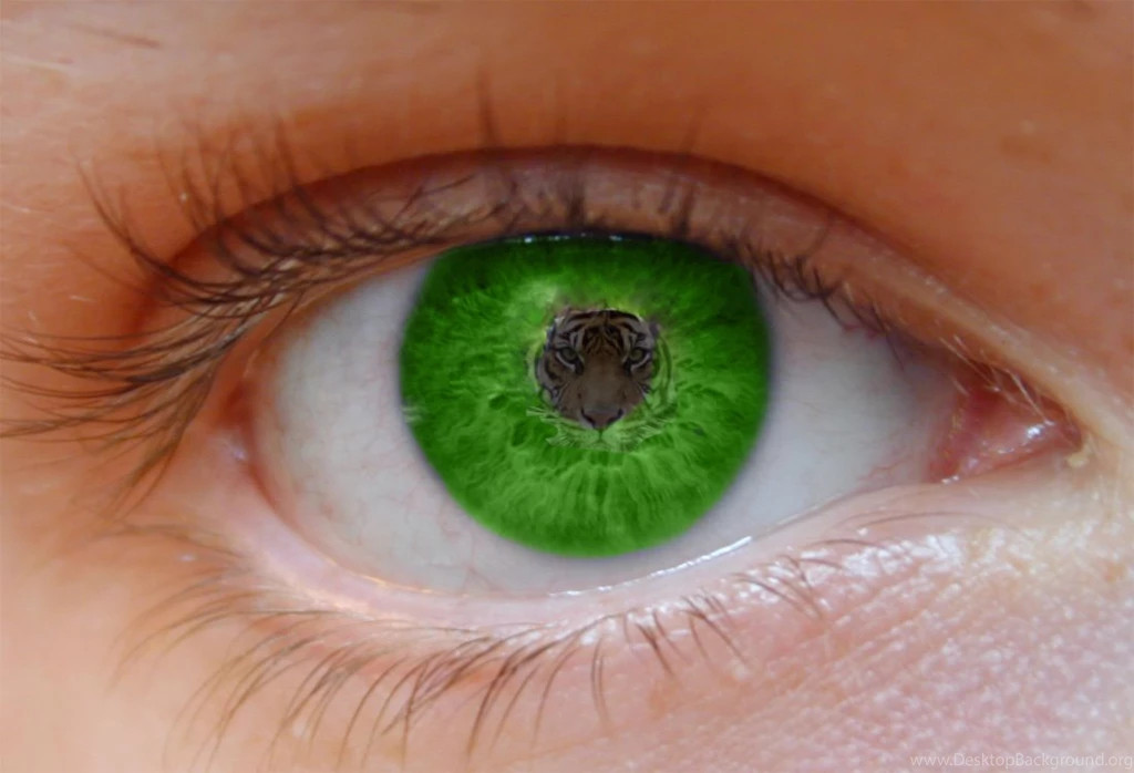 Green Eye Wallpapers
