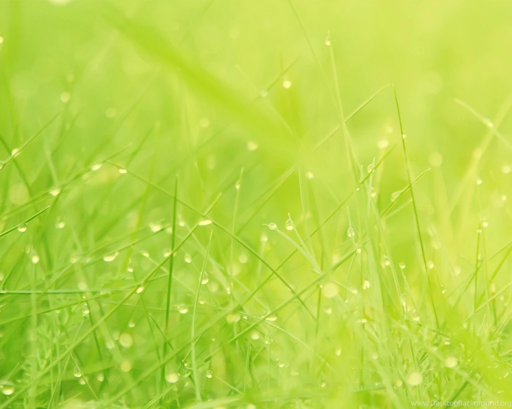Free 1600X1280 Green Grass 1600x1280 Wallpapers Screensaver Preview ...