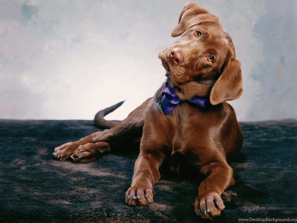 Awesome Best HD HD Wallpapers Free Download