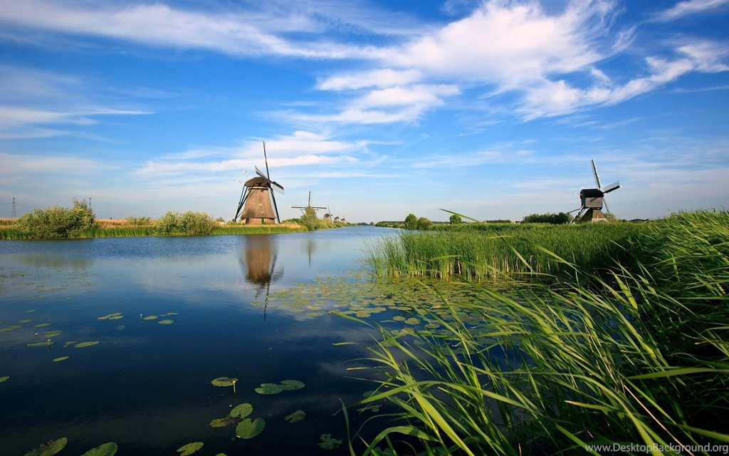 Lily Pond And Windmills Wallpapers