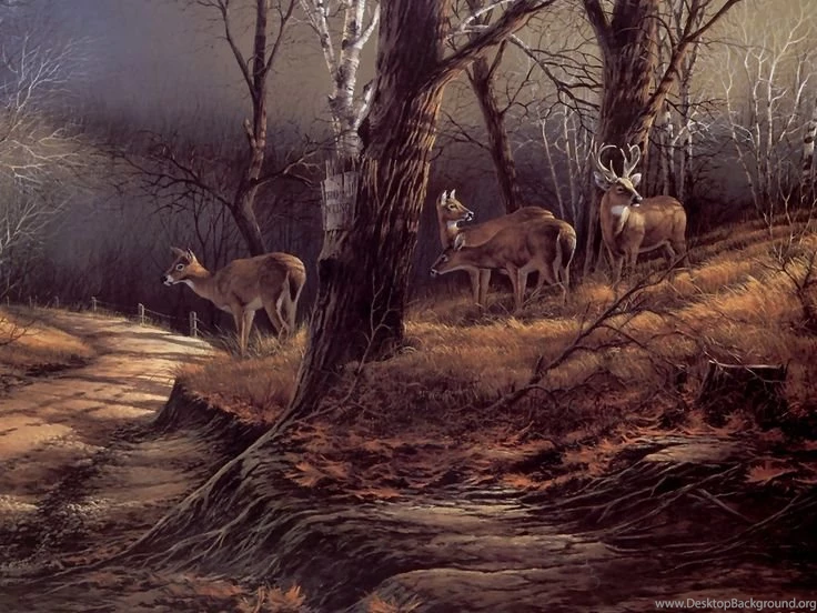 Art ~ Terry Redlin On Pinterest