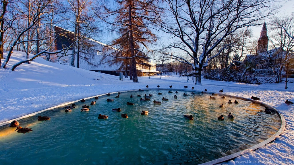 Winter Pond >> HD Wallpaper, Get It Now!