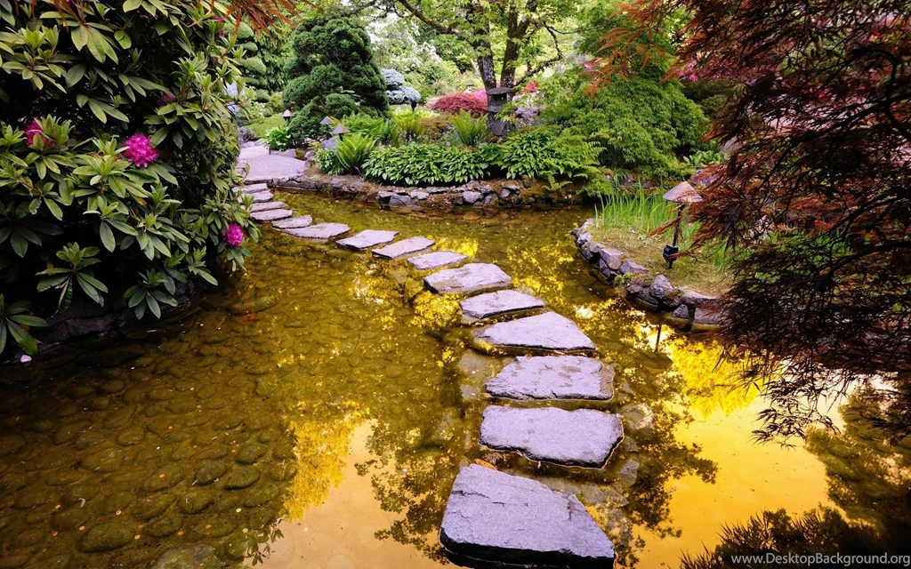 Download The Garden Pond Path Wallpaper, Garden Pond Path iPhone ...