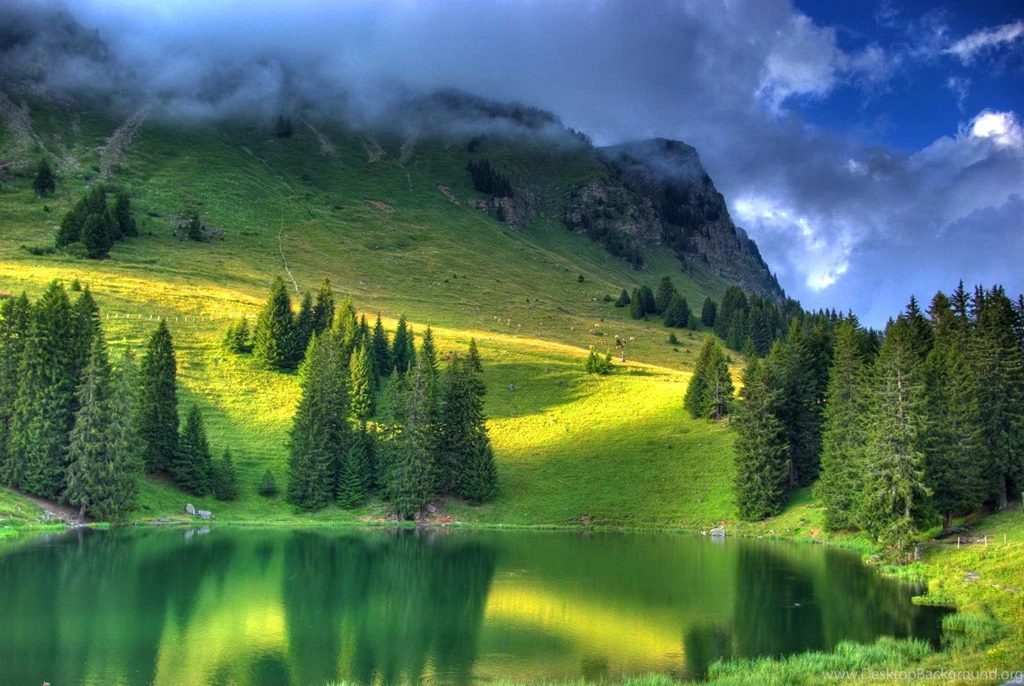 Mist Ponds Trees Wallpapers Desktop Backgrounds