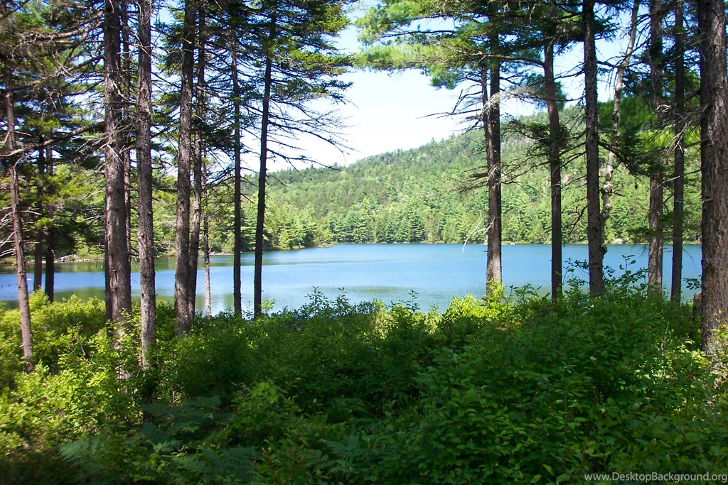 Ponds Hd   Wallpapers